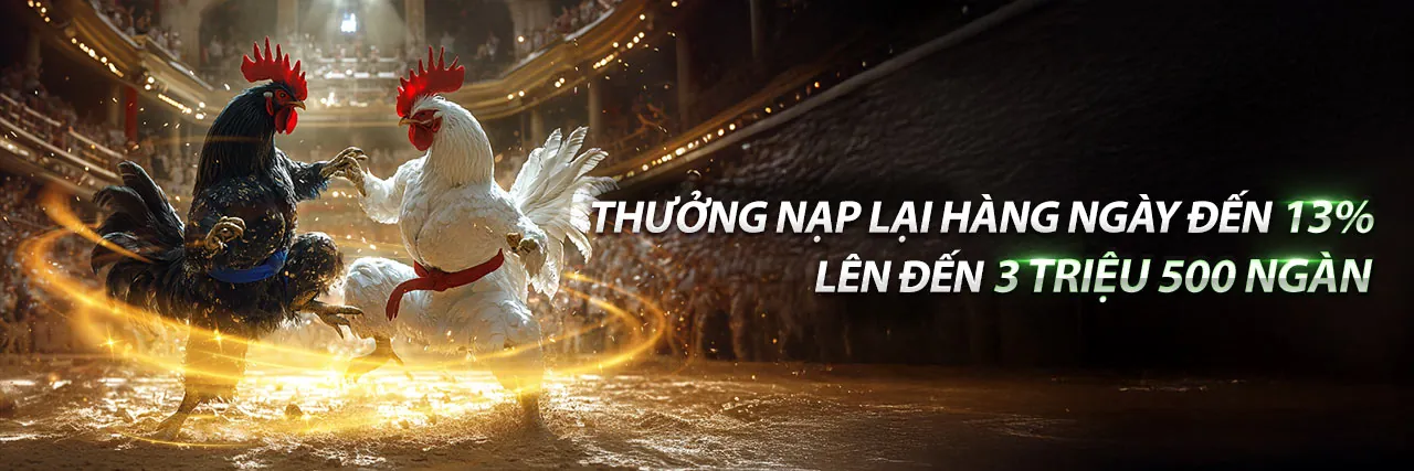 Sân vận động đầy ắp khán giả với hình ảnh đồ họa cá cược thể thao, thể hiện sự sôi động của dagac3 game bài.
